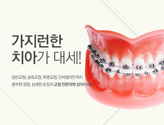 �������� ġ�ư� �뼼! �Ϲݱ���, ��������, ��������, �κ������α��� ǳ���� ����, ������ �ձ��� ���� �����ǿ� ���� �ϼ���.